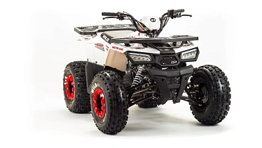 Квадроцикл MOTOLAND (МОТОЛЕНД) 125 WILD