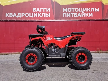 Квадроцикл PROMAX WILD 175 BASIC