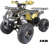 Квадроцикл (АТV) &quot;TERMIT TT ATM&quot;