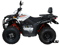 Квадрицикл KAYO AU200 спинка дуги (белый пластик 2024 г.) (ПТС)