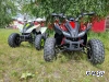 Квадроцикл PROMAX SPORT - PRO 180 (2024)