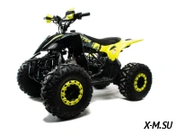 Квадроцикл MOTOLAND (МОТОЛЕНД) 125 RAPTOR A