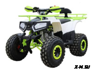 Квадроцикл IRIDE KOKS 125 8” 3+1