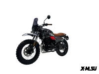 Мотоцикл TMBK FAHRENHEIT 250 (172 FMM)