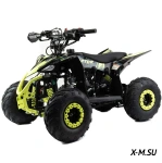 Квадроцикл MOTOLAND (МОТОЛЕНД) 110 RAPTOR A