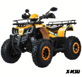 Квадроцикл MOTOLAND (МОТОЛЕНД) 200 ALL ROAD X (баланс. вал)