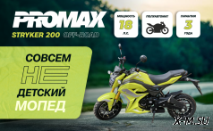 Мотоцикл PROMAX STRYKER 200(49) 2.0
