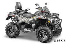 Квадроцикл STELS ATV800 (TE) ГЕПАРД 2.0 K02 EPS GN
