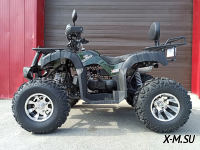 Квадроцикл PROMAX ATV 250 PRO (2025)