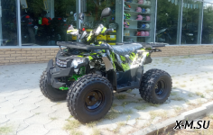 Квадроцикл (ATV) серия 3, BRAVO