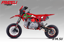 Питбайк FRATELI FRZ 125E 12/10