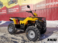 Квадроцикл IRBIS ATV 250 XE (X-MOTORS EDITION)