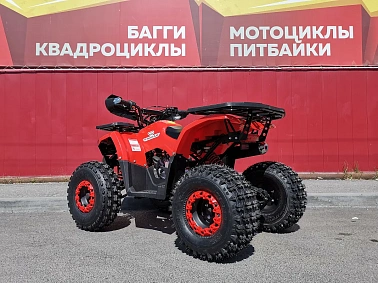 Квадроцикл PROMAX WILD 175 BASIC