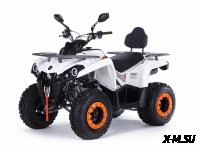 Квадроцикл MOTAX ATV Grizlik 200 Ultra