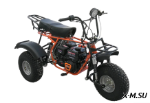 Трицикл ТРИТОН 2, САФАРИ-3LЕ-8+ (длинное седло, сзади 2 амортизатора Урал)