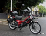 Скутеретта PROMAX DELTA NEW 130(49)