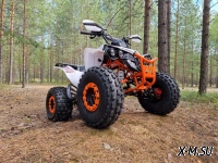 Квадроцикл PROMAX SPAWN 180