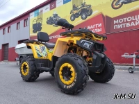 Квадроцикл PROMAX STORM 280 LUX
