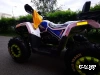 Квадроцикл PROMAX WILD 300 LUX (2024)