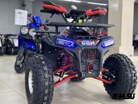 Квадроцикл GBM MAVERICK 222 (GERMAN SERIES)
