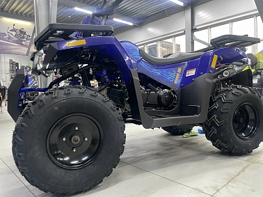 Квадроцикл PROMAX WILD 300