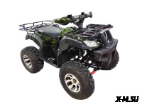 Квадроцикл WELS THUNDER 200