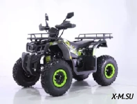 Квадроцикл TAO MOTORS REPTILE-200 (WARRIOR)