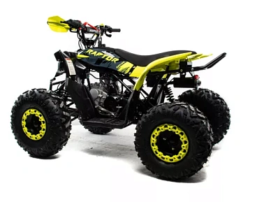 Квадроцикл MOTOLAND (МОТОЛЕНД) 125 RAPTOR A