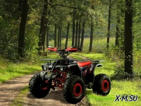 Квадроцикл PROMAX WILD 190 PRO-LINE