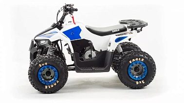 Квадроцикл MOTOLAND (МОТОЛЕНД) 110 EAGLE