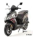 Скутер MOTOLAND (МОТОЛЕНД) PALADIN