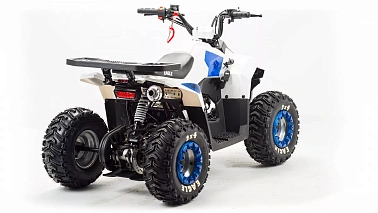 Квадроцикл MOTOLAND (МОТОЛЕНД) 110 EAGLE